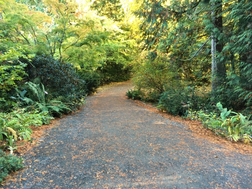 one of the trails in the garden