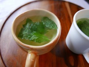 How to make mint tea from fresh leaves? Tea steeping